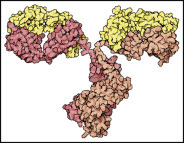 graphic file with name u05-11-9780128012246.jpg