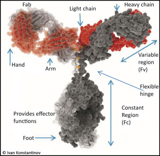 graphic file with name u05-13-9780128012246.jpg