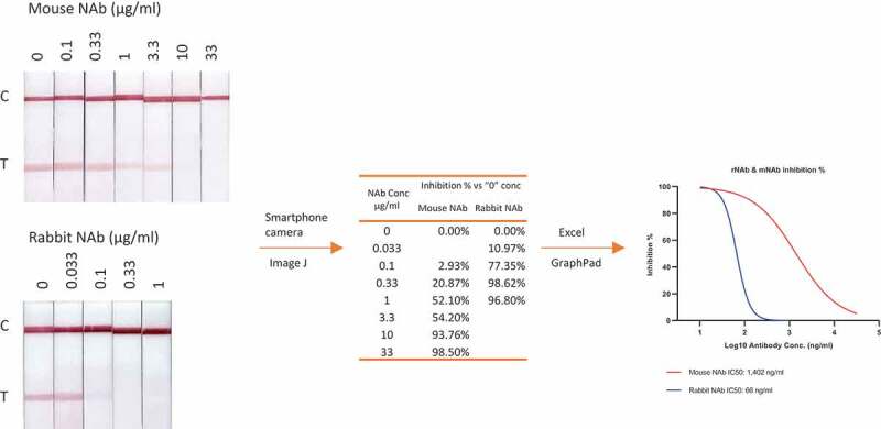 Figure 2.