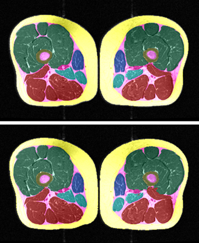 Fig. 5
