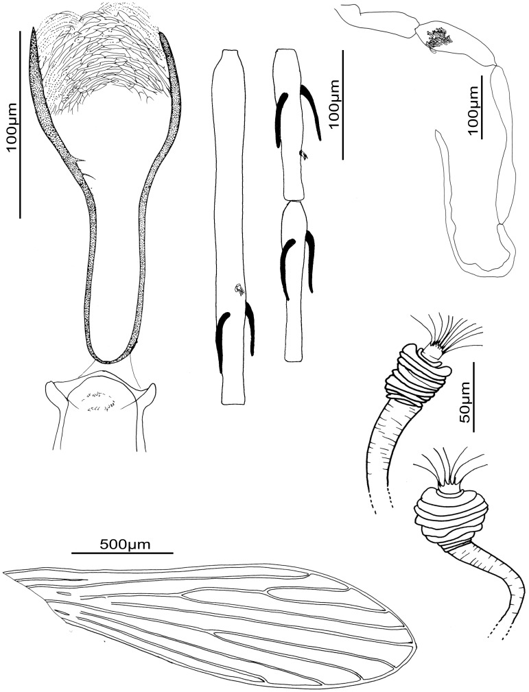 Figure 7