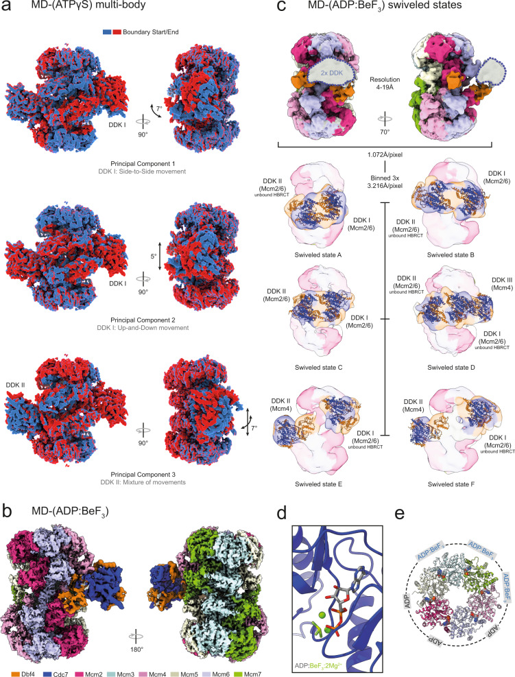 Fig. 6