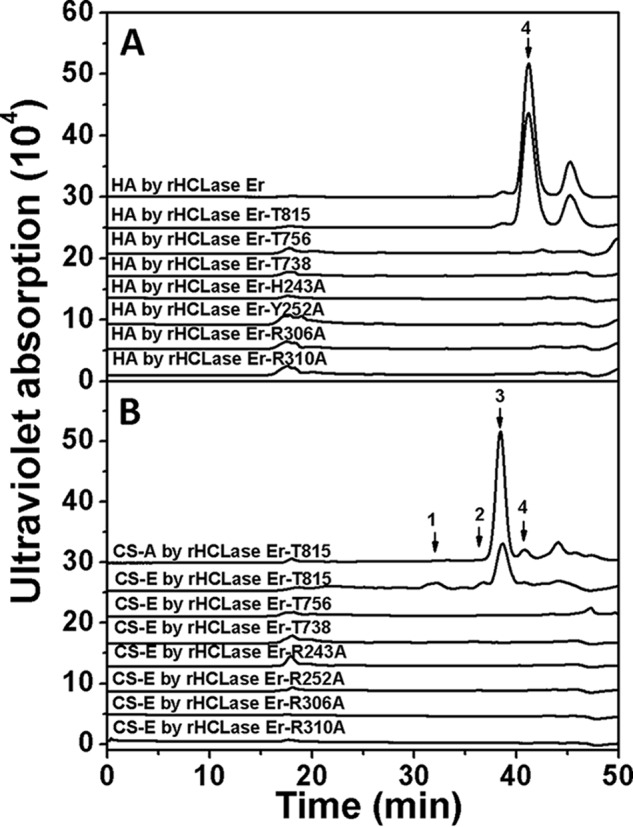 Figure 11.