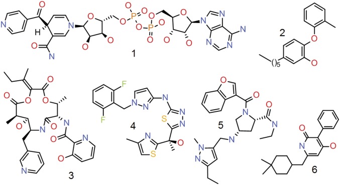 Fig. 1.