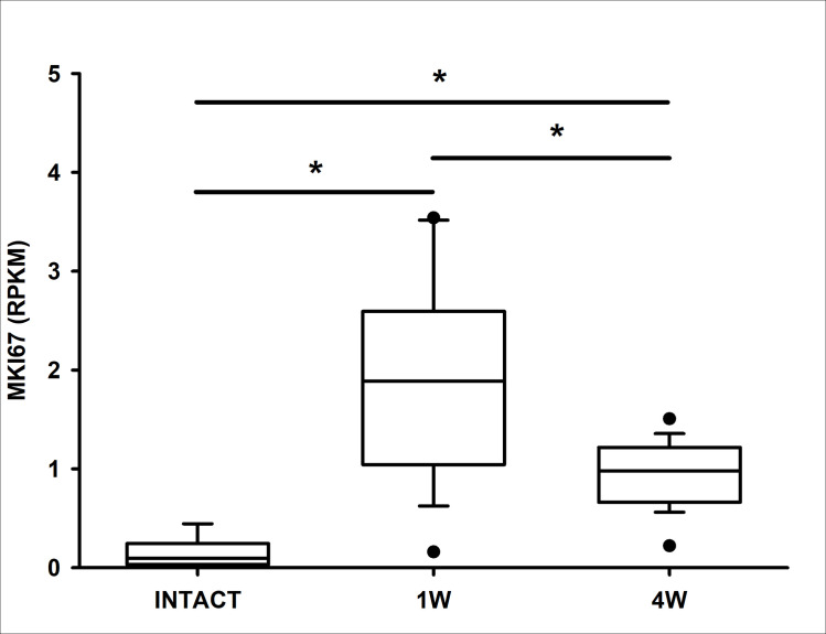 Fig 5