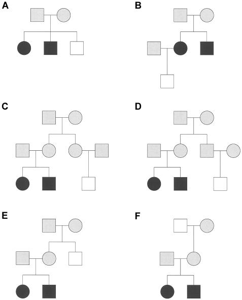 Figure  1