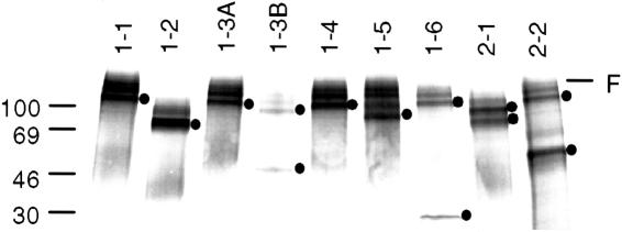 Figure  2 