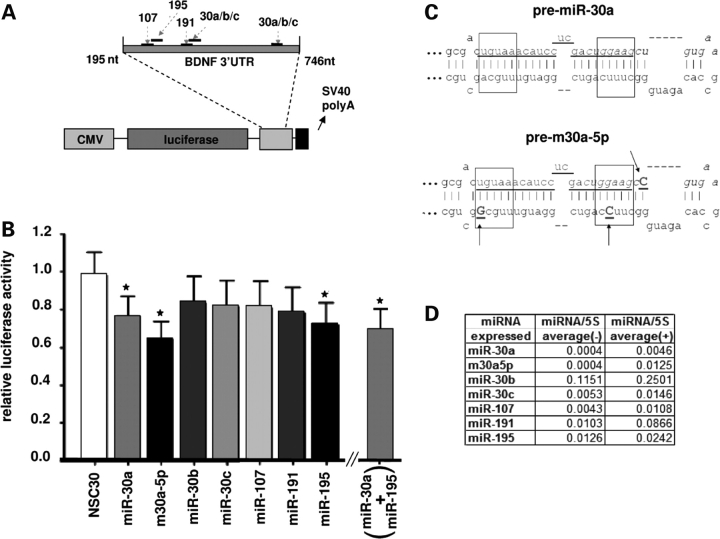 Figure 3.