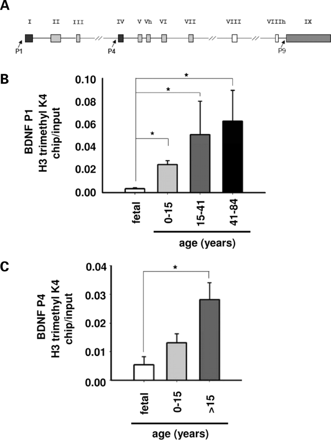 Figure 7.