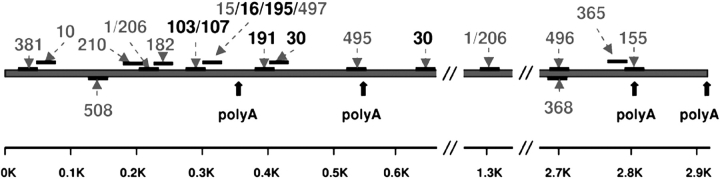 Figure 1.