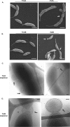 FIG. 6.