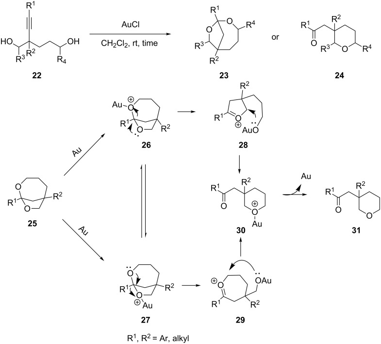 Scheme 5