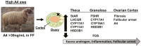 Graphical Abstract