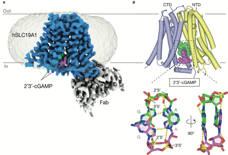 Figure 4