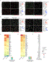 Figure 6: