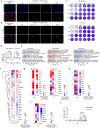 Extended Data Fig. 3: