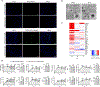 Extended Data Fig. 5: