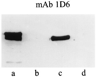 FIG. 6