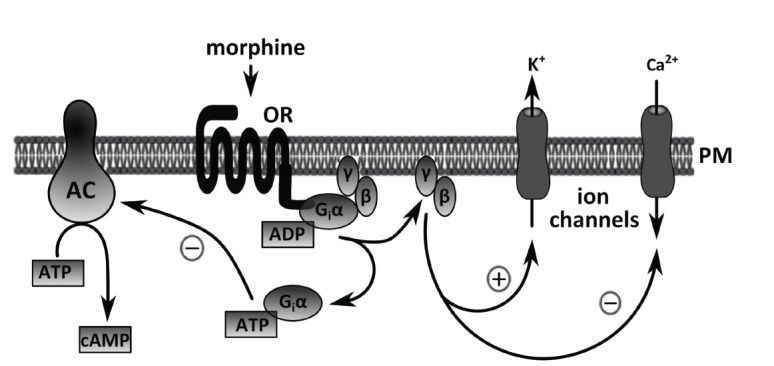 Fig. (2)