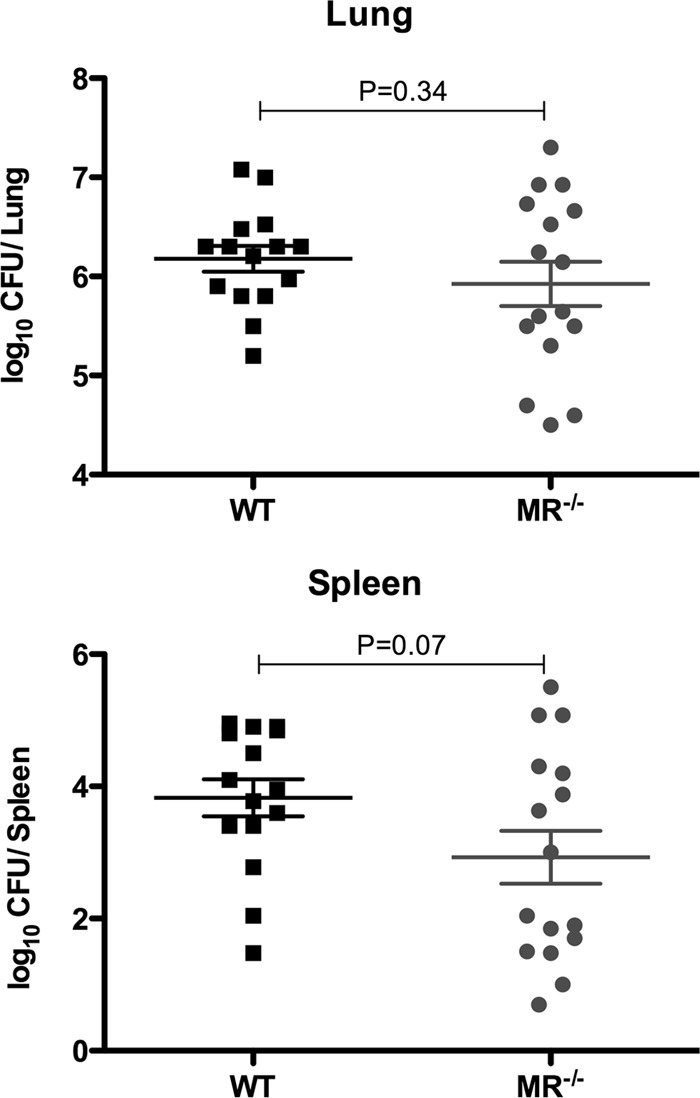 FIG 4