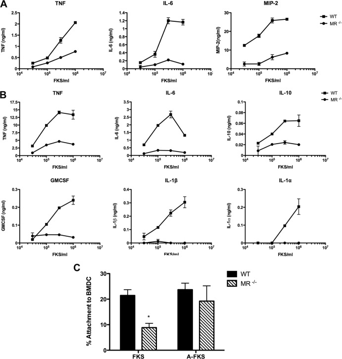 FIG 2