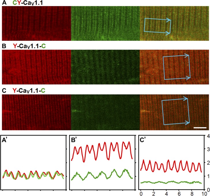 Figure 4.