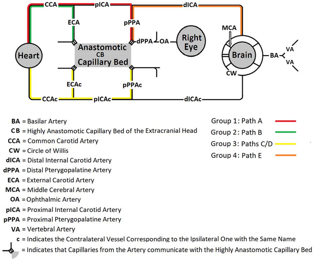 Figure 3: