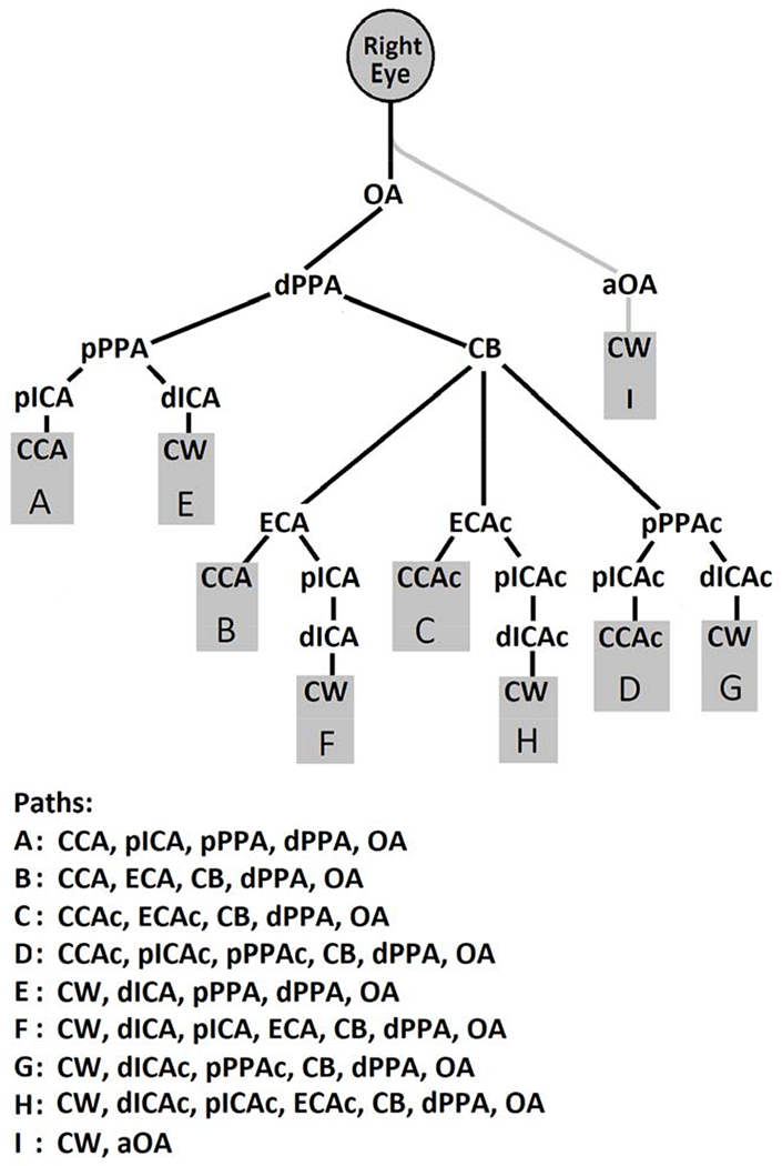 Figure 2: