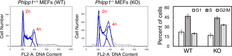 FIG 6