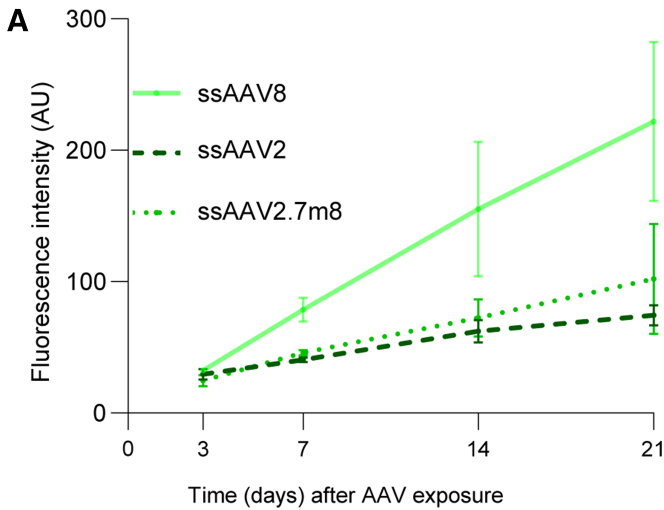 Figure 6