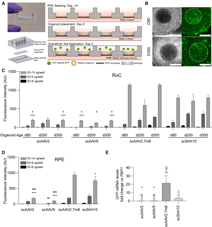 Figure 3