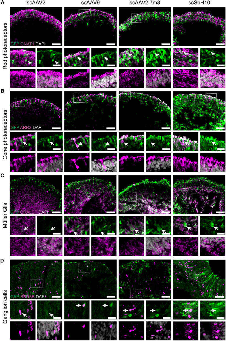 Figure 4