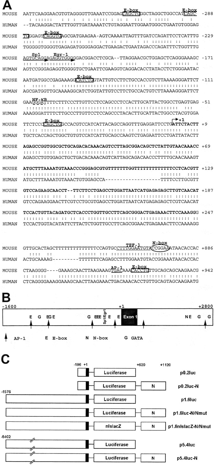 Figure 1.