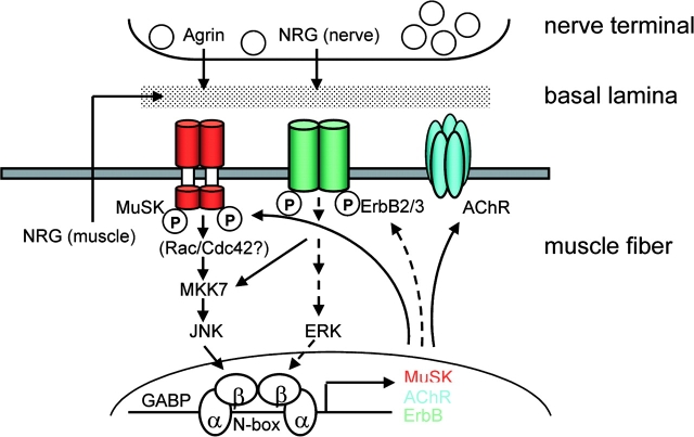 Figure 7.