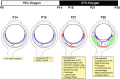 Fig 10