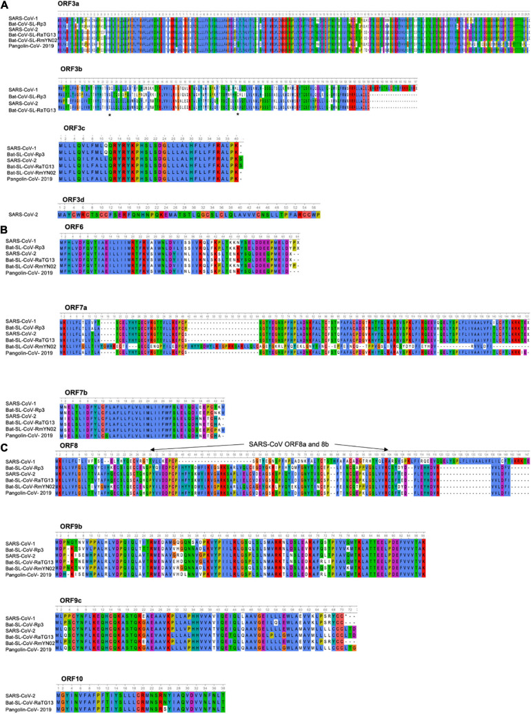 FIGURE 4