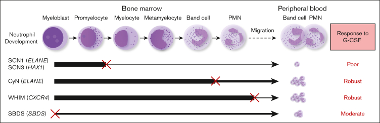 Figure 5.