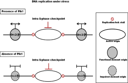 Fig. 9.