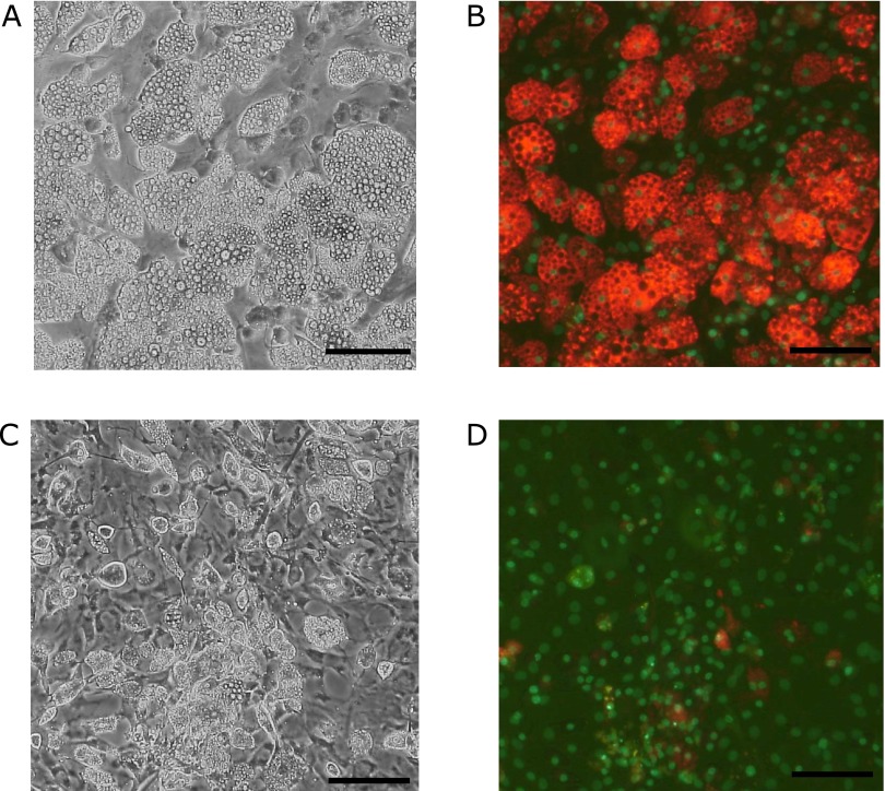 Fig. 2