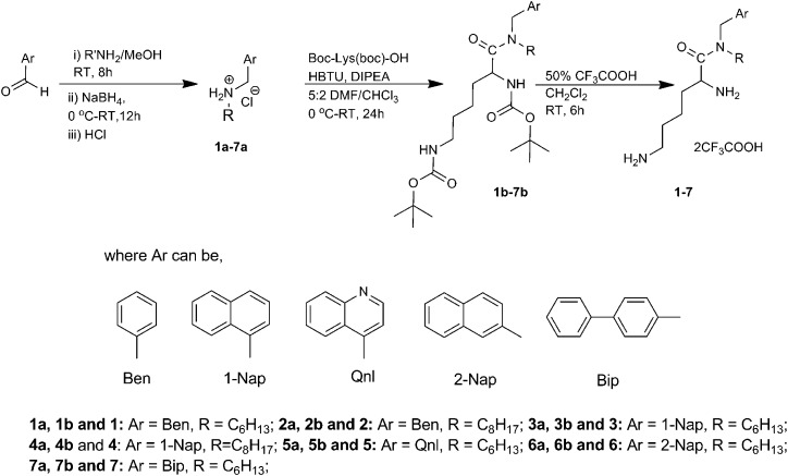 Scheme 1