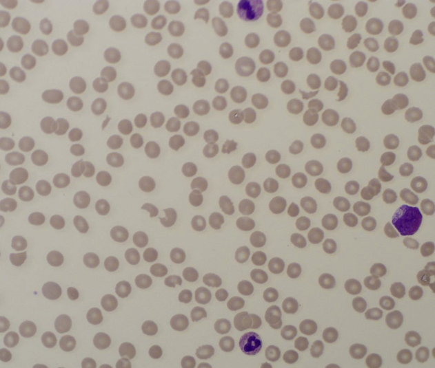 Figure 2