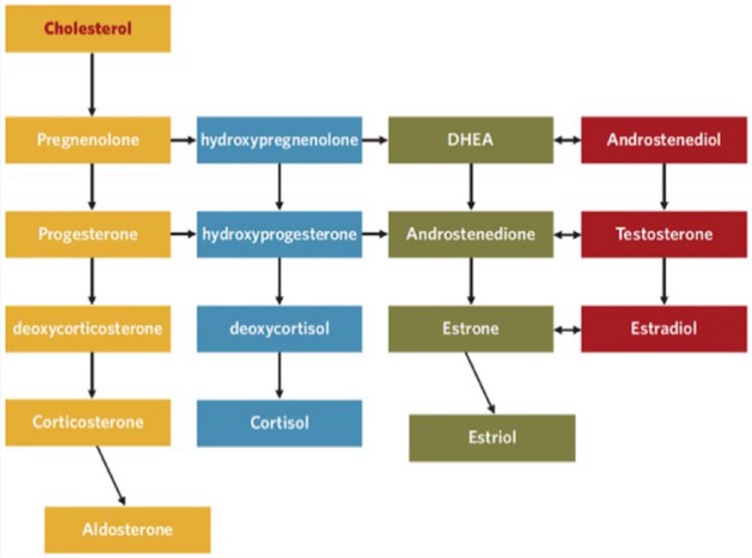 Figure 2.