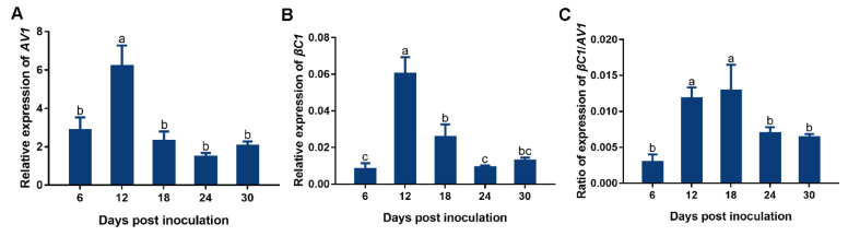 Figure 6