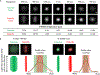 Fig. 3.