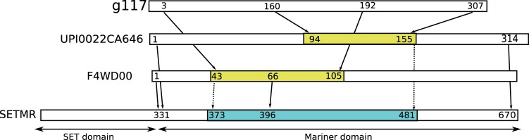 Figure 10