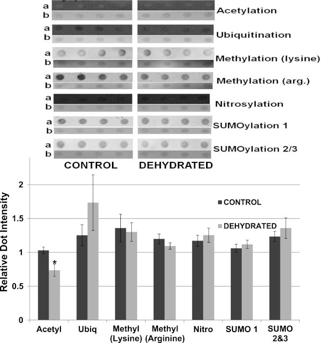 Figure 12