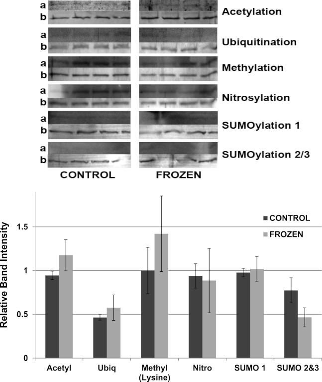 Figure 10