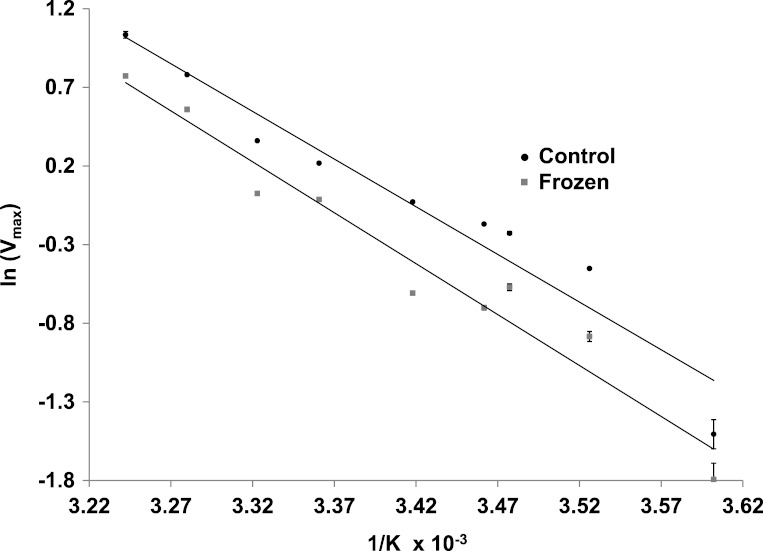 Figure 5