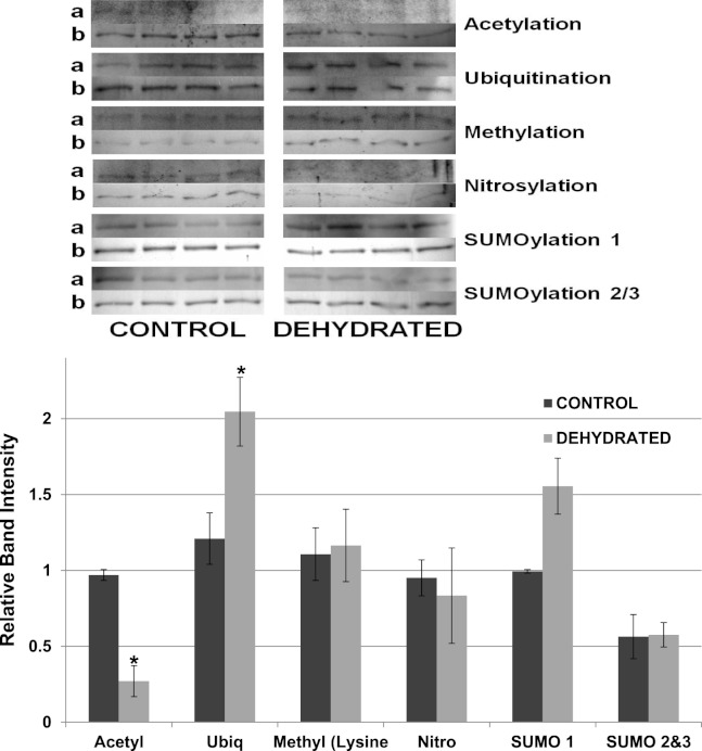 Figure 11