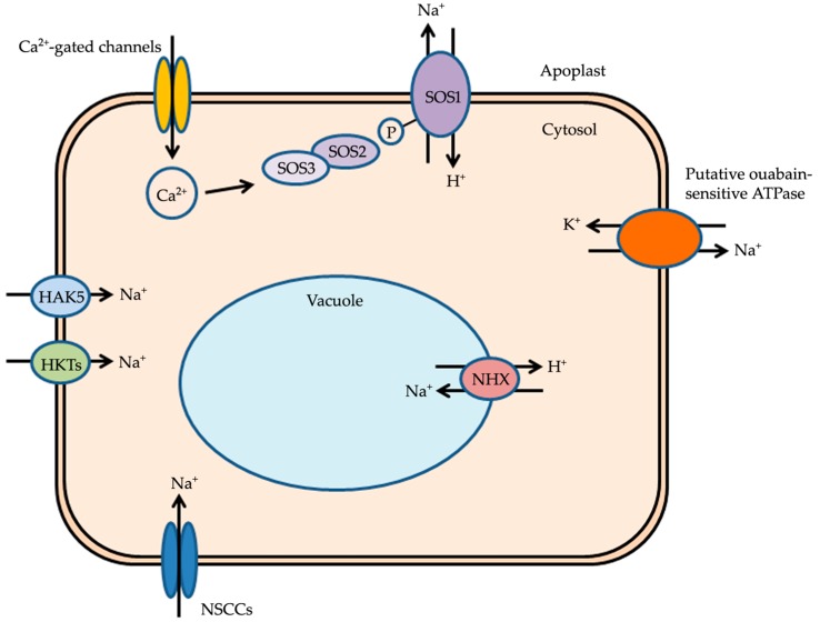 Figure 1